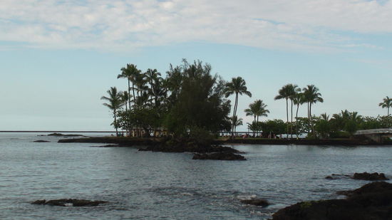 Coconut Island