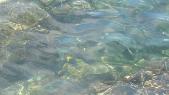 durchs glasklare Wasser sieht man die bunten Fische sogar vom Ufer aus
