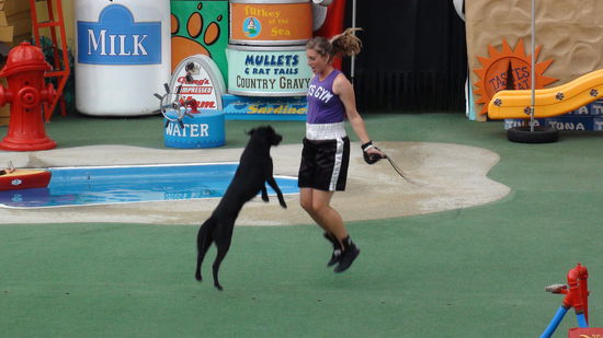 ein Erlebnispark, nicht nur mit Meerestieren