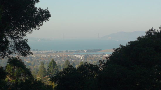Blick von Berkeley auf San Francisco