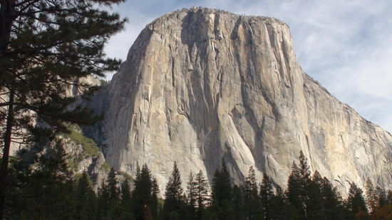 El Capitan, eine 914 Meter hohe Steilwand aus Granit. Sehr beliebt bei allen Kletterfreunden.