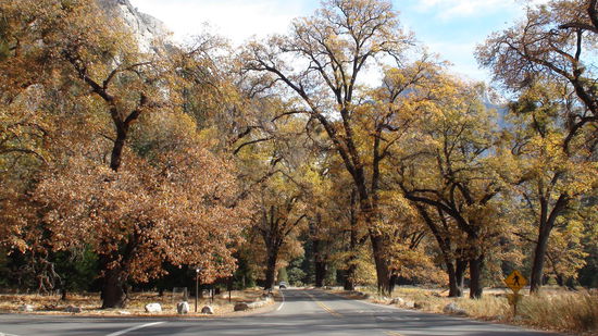 herbstliche Farben schmücken das Valley