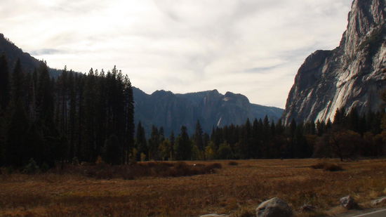 Bergwiese im Herbstkleid