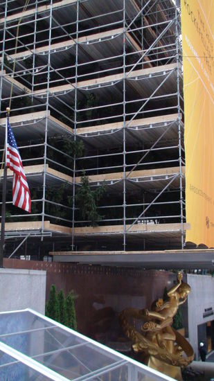 Der Baum steht, nur der Weihnachtsschmuck muß erst noch via Gerüst auf den Baum