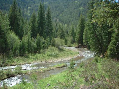 Colorado River im Rocky Mountain N.P.