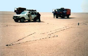 Alte Kufra-Piste
