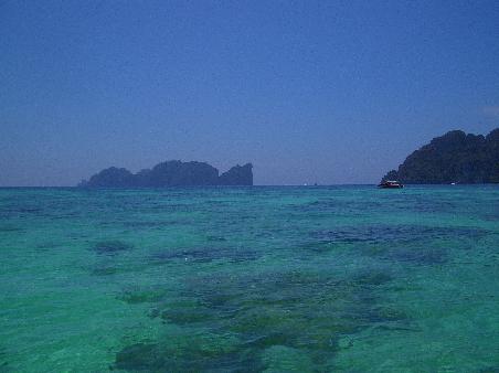 Shark Point
