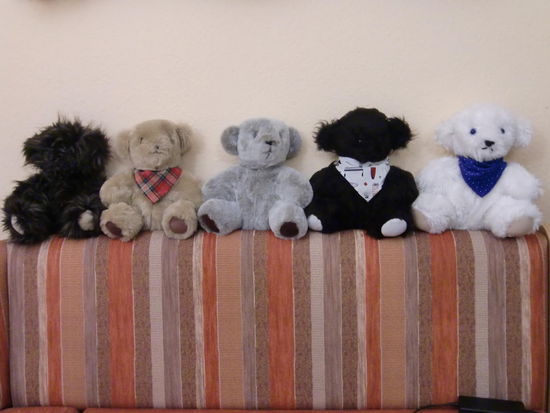 Ich hoffe doch, die großen lebenden Verwandten meiner deutschen Bärchen live in Kanada zu sehen!