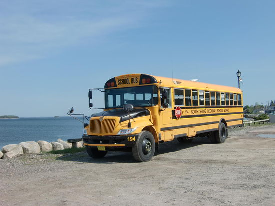 School Bus: Den darf man wenn er hält nicht überholen - auch nicht auf der Gegenfahrbahn!
Wir haben den Strafzettel einer Bekannten gesehen die ihn auf der Gegenfahrbahn überholt hat: mehr als 500 $; man hätte auch über 900 $ verlangen können erzählte sie uns!