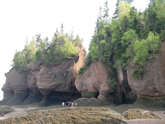 Beeindruckend: die Hopewell Rocks