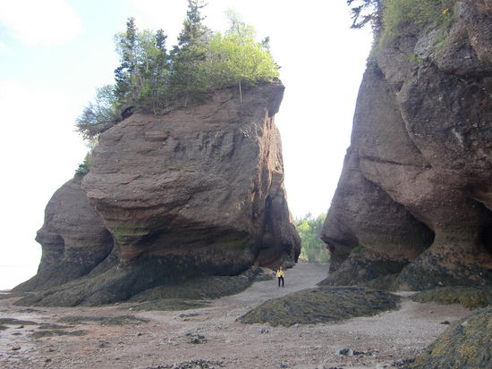 Hopewell Rocks bei Ebbe. Ein Traumtag und und unbedingt sehenswert!