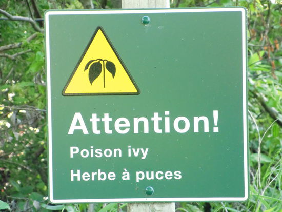 Im NP bei Mullorytown Landing: Giftiges Efeu. Das toxische Sekret macht sich mit schmerzhaften Brennen und wässrigen Bläschen bemerkbar. Schon beim Wasserfall bei Quebec sahen wir die Warnschilder. Das kann man wirklich nicht gebrauchen!
Dazu mußte man auf überwachsenem  Pfad zum Plumpsklo. Da schaut man auch besser niemals hinein!!! Und dann war auf dem NP-Infoblatt auch noch eine Schlange abgebildet!Dazu war die Nacht auch noch stockdunkel.