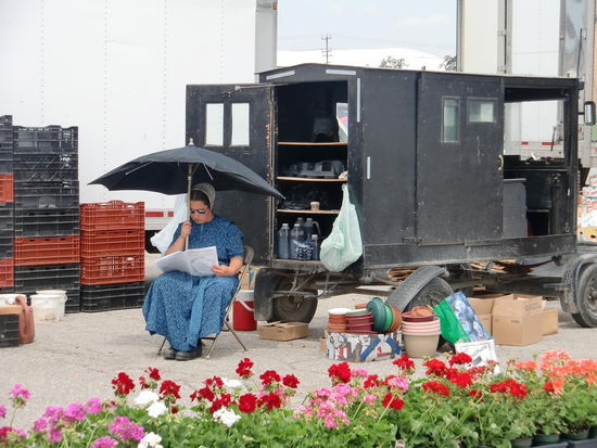 Eine Mennoniten-Frau wartet auf Kundschaft mit ihrem Regen/Sonnenschirm und vor der typischen schwarzen Kutsche.
