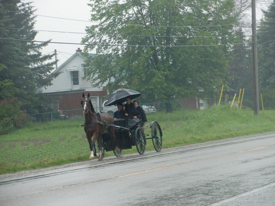 Die Lebensweise der Mennoniten fasziniert mich! In der heutigen Zeit solch eine einfache Lebensweise beizubehalten ist echt bewundernswert. Irgendwie strahlen sie alle auch solch eine Ruhe aus!