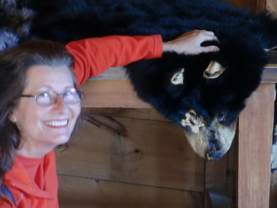 Endlich! Wie vorher angekündigt werde ich Kanada nicht verlassen ohne einen Bären gestreichelt zu haben!!!