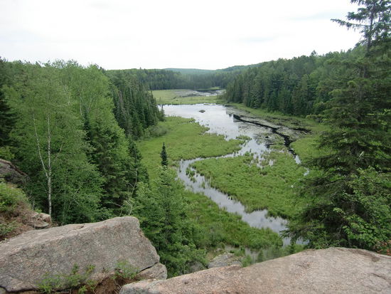 Algonquin Park: Aussichtspunkt am Beaver Pond-Trail