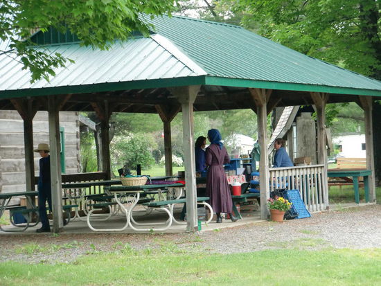 In Iron Bridge auf einem Picknickplatz gehalten und hier war ein kleiner Farmers Market. Bei der Mennonitin haben wir unseren Zimt-Hefekuchen und ein Glas Honig gekauft.
Wir haben gefragt, aber die Frau wollte sich später in ihrer Kutsche nicht fotografieren lassen - leider!