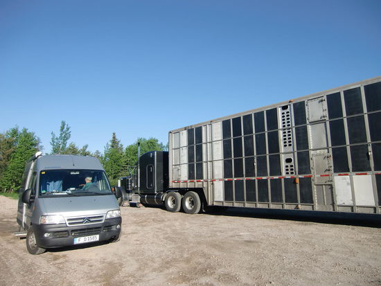 Wir standen das erste Mal auf einem Truck-Stop. Der riesengroße Platz war total leer, aber gegen Abend kamen immer mehr Trucks. Wir wollten ins Bett - aber irgendwie standen wir quer und nahmen zwei Truckparkplätze weg.Wir fuhren dann hinter einen bereits stehenden Truck und tatsächlich entdeckten wir am nächsten Morgen neben uns einen spätnachts noch angekommenden Truck.