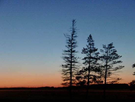 Sonnenuntergang in der Prärie