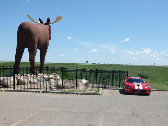 In Moose Jaw. Hier soll es Moose geben!? Jedenfalls gab es in diesem abgelegenen Ort in der Prärie einen Supermarkt der alles hatte, inkl. Wurst- und Käsetheke!