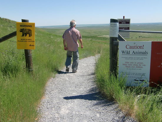 Die Warnungen vor den Bären verunsichern uns tatsächlich! Hier laufen Horden von Menschen entlang. Da kommt doch kein Bär!