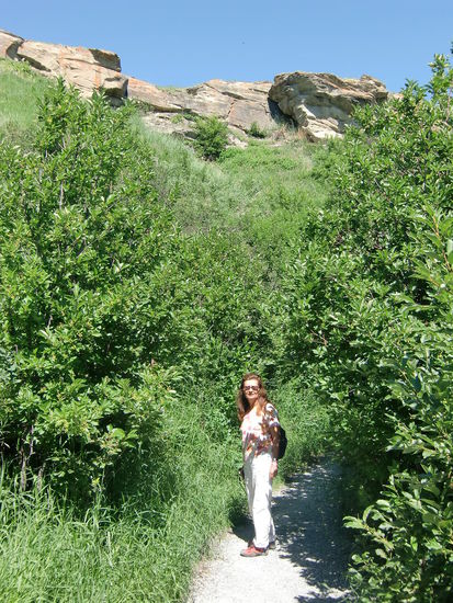 Oder kann doch ein Bär aus dem dichten Gebüsch kommen!? Die Deers sieht man ja auch nicht!