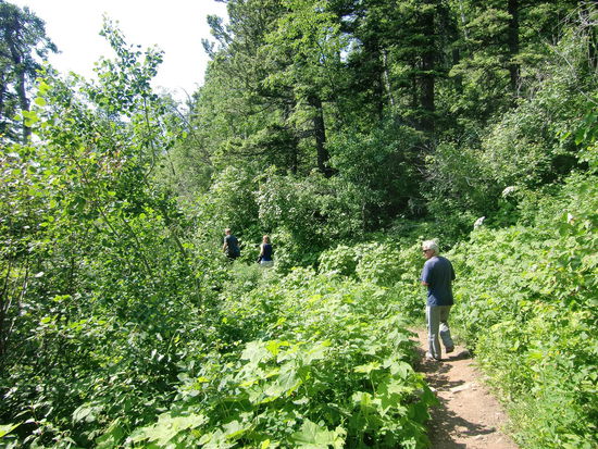 1 1/2 Std. Wanderung. Es war tierisch heiß! Wir hatten zur Bärenabschreckung eine 'Schiedsrichterpfeife' dabei. War aber wohl nicht notwendig da auf dem Pfad noch mehrere Leute unterwegs waren.
