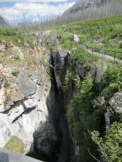 Schöner sonniger Spaziergang am Marble Canyon. Leider war der Wald hier großflächig verbrannt seit dem Jahr 1993 (?).