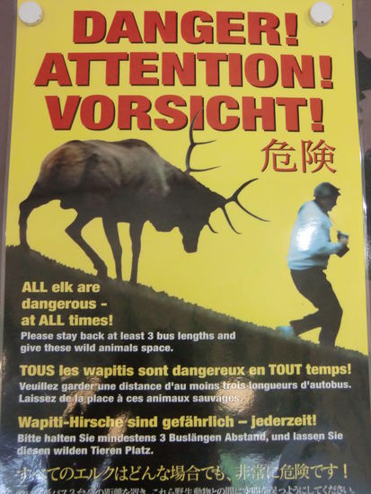 Plakat am nächsten Tag im Touristenbüro von Banff!
Man kann sich auch mal irren!