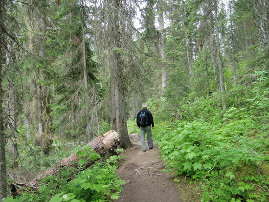 Wanderweg um den See herum. So nah am belebten Stellen muß man keine Angst vor einem Bär haben!