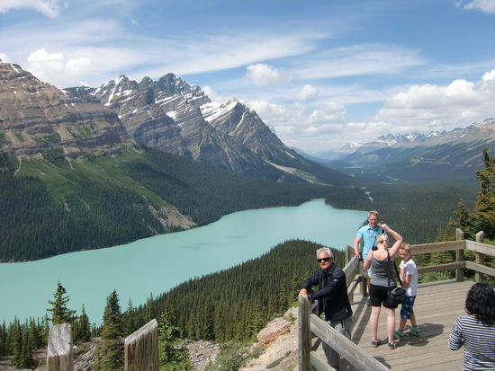 Auf kurzem Waldpfad ging es zum Aussichtspunkt auf den Peyto Lake