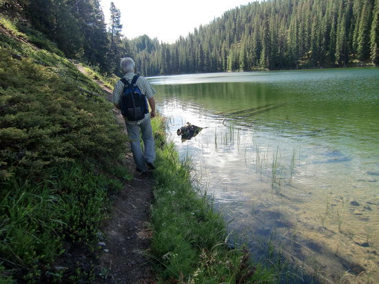 Immer am See entlang! So sind bei uns alle Wanderwege angelegt!