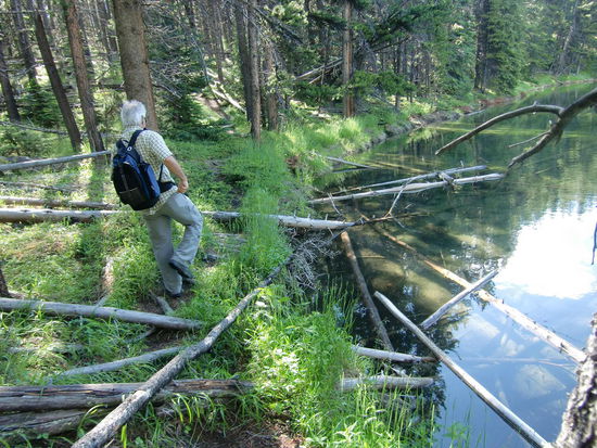 Und das soll der offiezielle Wanderweg sein!?
Bärenvertreibend - laut redend kämpften wir uns weiter zum Maligne-See herunter!