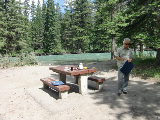 Nö -   mir reicht's! Gregor packt die Sachen und genießt seinen Nachmittagskaffee lieber im sicheren Auto!
Den Schwarzbär keine 10 m hinter uns hätten wir gar nicht bemerkt wenn ein Motorradfahrer Gregor nicht mit Rufen 'a bear, a bear' ihn darauf aufmerksam gemacht hätte.
Eine große Gruppe von Leuten hatten gerade ihr Picknick beendet und Bär wollte mal schnell nachsehen ob etwas liegen blieb!