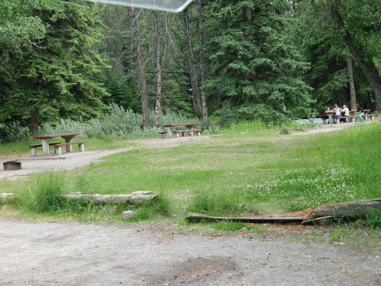 Idyllische Picknickstelle! Der Schwarzbär kam übers Gras und war schon bei den mittleren Picknickbänken!
Tja - die Leute ganz hinten - wenn die wüßten wie gefährlich das hier ist! Aber so viele Leute meidet ein Bär wohl!?