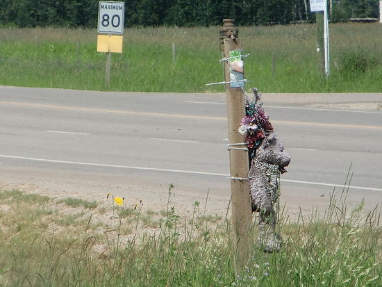 Obwohl Tempolimit sieht man sehr viele Kreuze am Strassenrand. Hier ist offenbar ein Kind zu Tode gekommen.