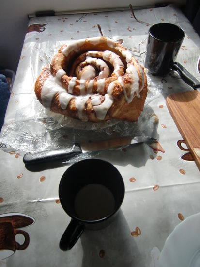 Unser Cinnemon-Bunvon der Braeburn-Lodge - im ganzen Yukon berühmt und Station eines berühmten  Schlittenrennens.