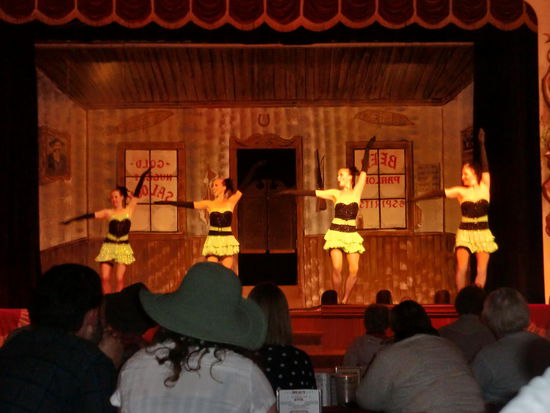 Die Show im Diamant Tooth Gertie's Gambling Hall
Gertie war eine Berühmtheit, da sie sich zwischen die Schneidezähne einen Diamanten klemmte und es auch zu Wohlstand brachte mit ihrer Spielhalle!