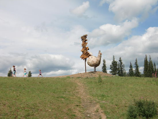 Sieht süß aus - ist aber nicht Original-Chicken!
Das alte Chicken liegt auf der anderen Seite des Hügels!