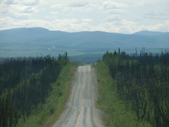 Durch den 2004 verbrannten Wald nach Tok.