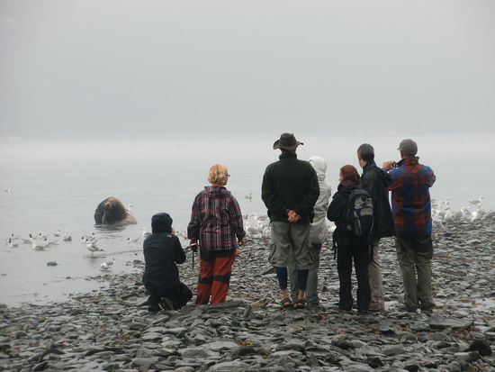 Ebbe? Egal! Ich bleibe hier liegen! Man hätte ihn wirklich anfassen können, so nah war der große Seelöwe!