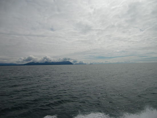 Hier irgendwo lief die Exxon Valdez 1989 auf ein Riff durch einen Navigationsfehler. Das Schiff war weit vom Kurs abgekommen und es liefen 41 Mio. Liter Rohöl ins Meer und verseuchten tausende Km dieser schönen Küste!
Damals dachte ich noch -na ja, wenn schon dann weit weg. Hier in Alaska wohnen ja nicht viele Menschen und es gibt hier nichts weiter! Wenn ich heute und jetzt an die ganze schöne Landschaft denke und die herrlichen Tiere die hier an der Küste und im Meer leben!!!