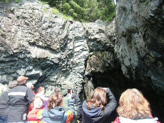 Wir fuhren ganz nahe in die Höhle und ich stand ganz vorne wie bei der Titanic! Ich konnte die Felsen berühren. Hier waren die Nester der Papageientaucher.