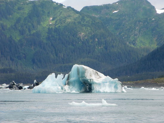 Die Vorboten! Eisberge vom Columbia Glacier