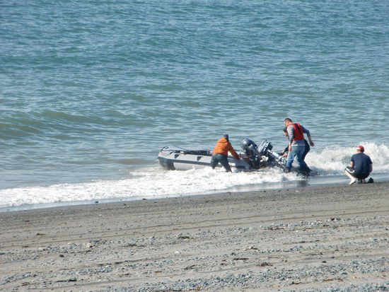 Diese 4 Jungs boten uns Nachmittags ein lustiges Schauspiel!
Erst fielen sie uns auf als sie ihr Auto in den Sand setzten. Dann koppelten sie den Bootsanhänger ab und hoben das Auto raus. Danach kam der Fahrer auf die saublöde Idee im weichen Sand eine Kurve zu fahren - und steckte wieder fest.
Endlich mit vereinten Kräften wieder frei erreichte er den festeren feuchten Sand nah am Wasser und als das Boot auf den Wellen schaukelte gab er Gas - und steckte wieder fest!
Inzwischen beobachteten wir das Schauspiel intensiv und Gregor meingte:' Wike bei der Muppets-Show!'
Edeltraud:' Ja genau -echt Lustig!'
Gregor:'Und wir sind die zwei Alten die immer in der Loge sitzen und hämisch lachen!'
Und was machten sie dann - genau! Wir klatschten uns ab und lachten weiter!
Denn jetzt schaukelte die Flut das Boot hin und her und die 4 Jungs bekamen das Ding nicht richtig ins Wasser und waren alle klatschnass.
Am Ende sprang dann auch endlich der Motor an und sie fuhren aufs Meer. Gedanken machte ich mir allerdings doch -denn alle kamen vom Meer zurück und die 4 fuhren erst jetzt gegen Abend los und dazu noch klatschnass und einer hatte nur ein T-Shirt an! Schon merkwürdig!