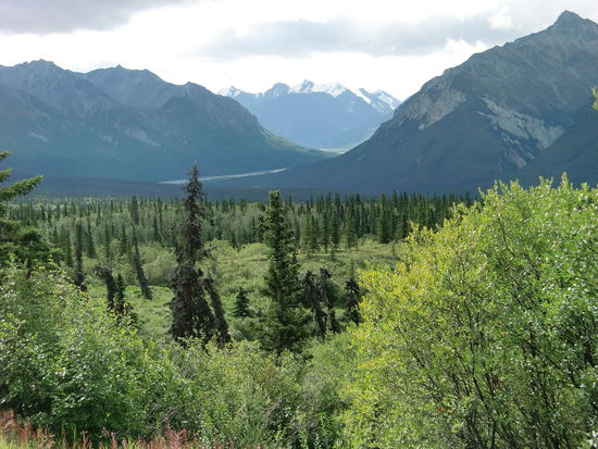 Landschaft zwischen Palmer und Glennallen