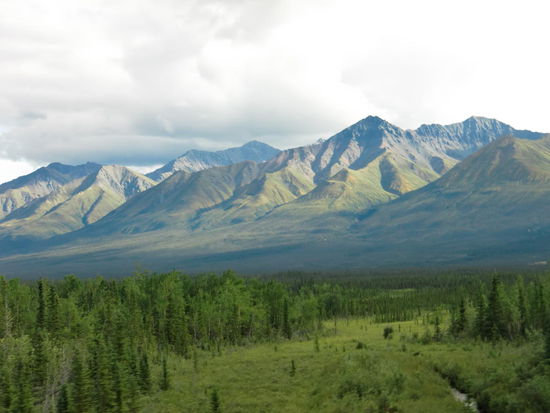 Von Glennallen nach Tok