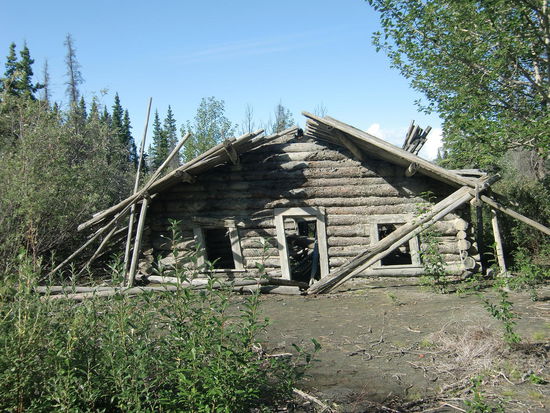 Die Ghosttown Silver City am  Haines Hwy. hatte ich mir etwas schöner vorgestellt als total zusammengefallene Häuser. Kein Wunder daß der Wegweiser abmontiert wurde und wir nur durch gute Überlegung den Weg fanden. Lohnte sich aber nicht! Das Haus auf dem Foto war noch das Besterhaltene!