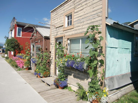 Solch ein üppig blumengeschmücktes Areal war ein Genuss fürs Auge und hier eine Seltenheit. Merkwürdig war mal wieder etwas: Die Häuser sahen richtig baufällig aus und ärmlich!