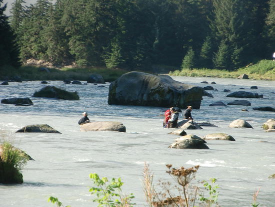 Lachs-Angler im Bach vom Inlet zum Chilkoot Lake.